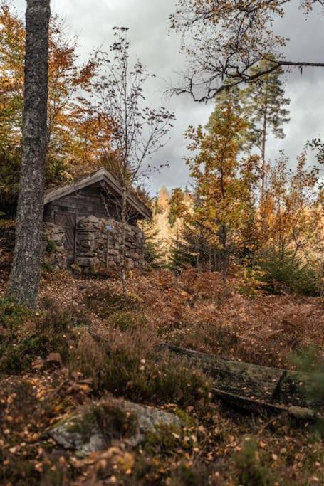 Malaskog Gamla Station Ryssby Dış mekan fotoğraf